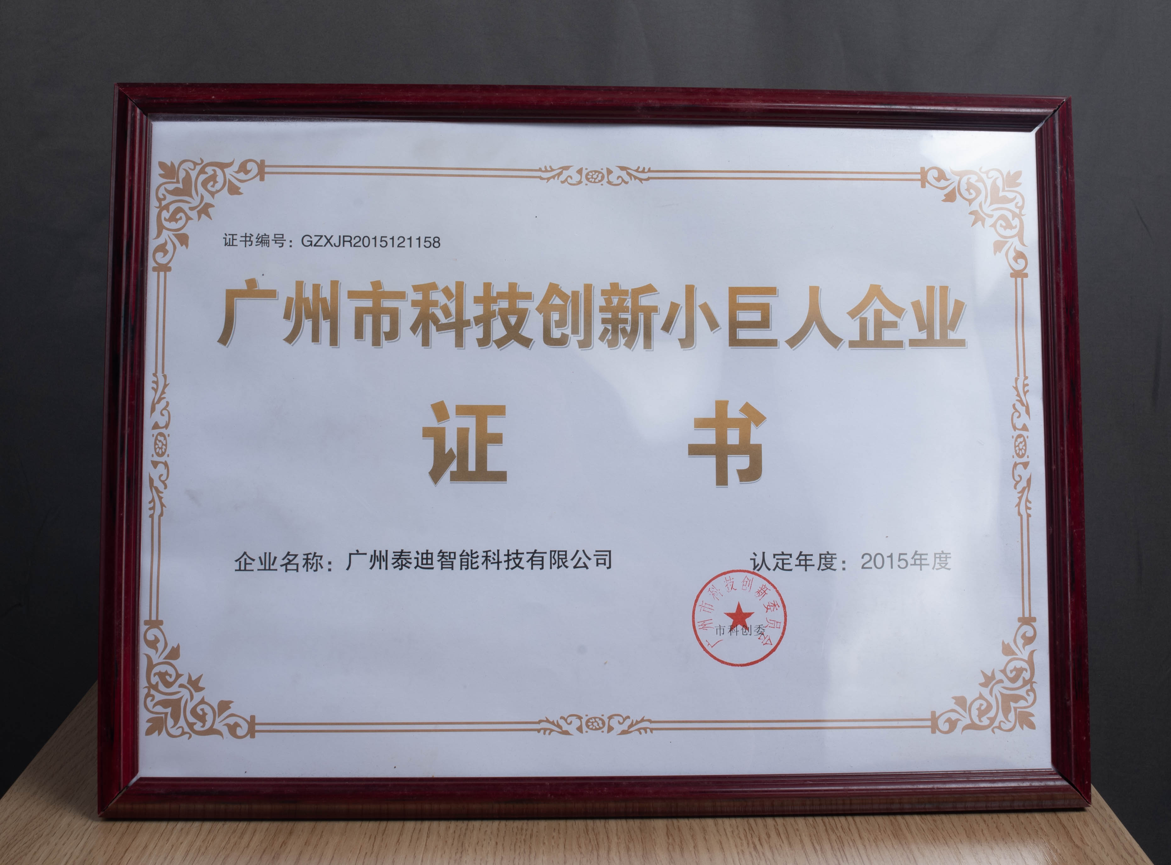 泰迪科技获评广州市科技创新小巨人企业